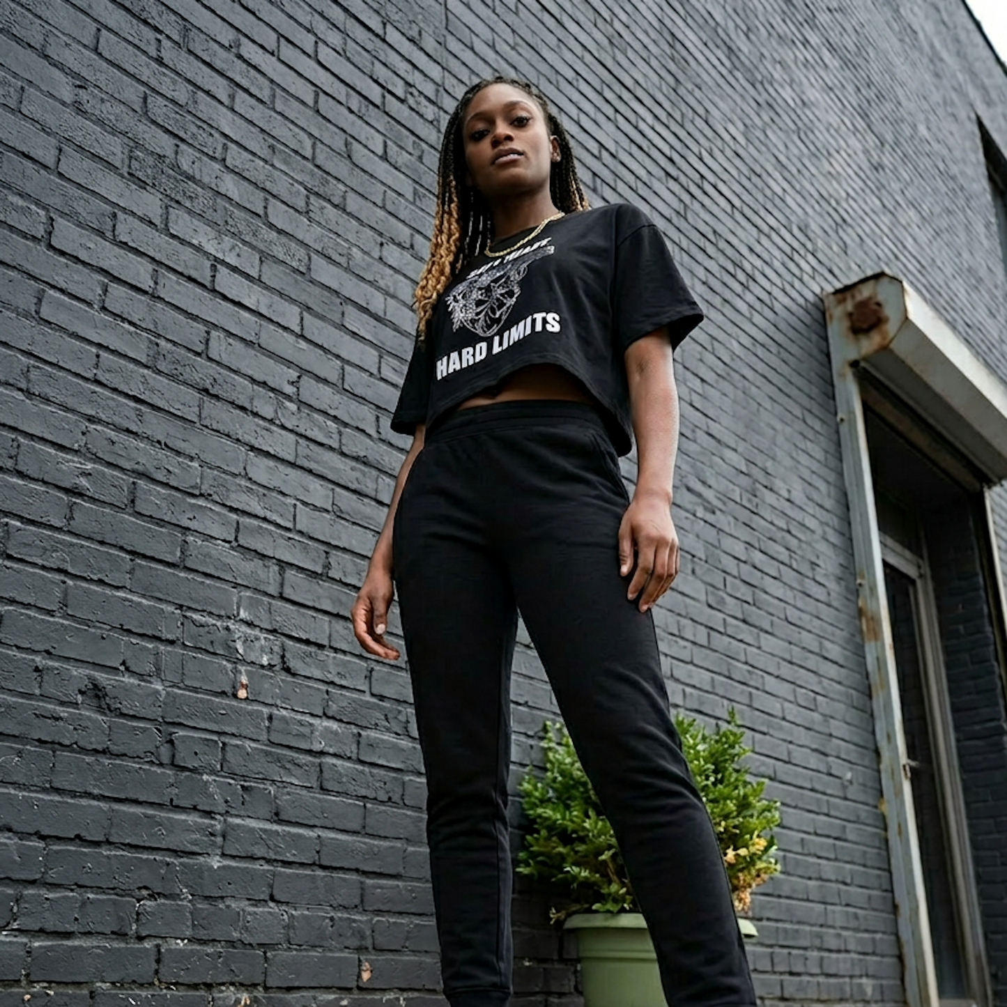 Soft Heart. Hard Limits. — Crop Tee